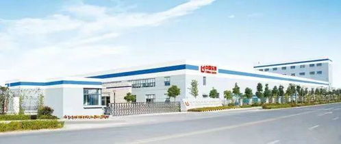 安徽省技術標準創新基地（新型顯示膜材料）通過驗收，新型膜材料制造獲重大突破